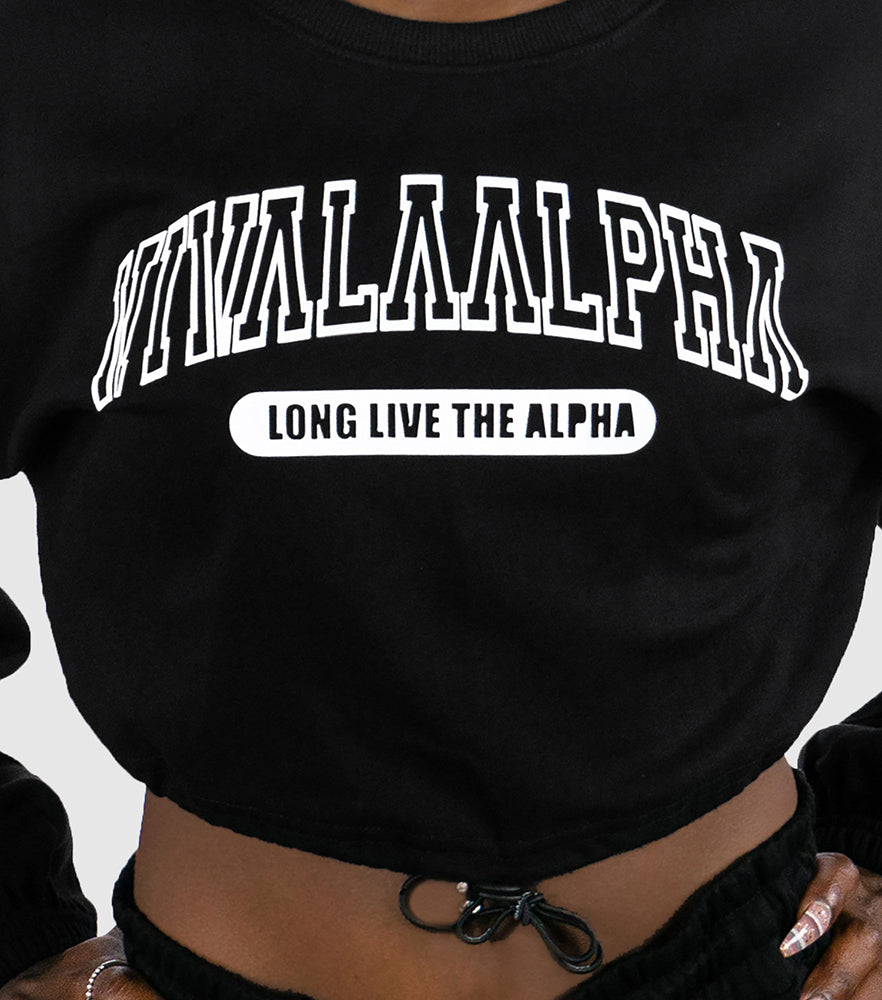 Collegiate Crop Pullover Outlined